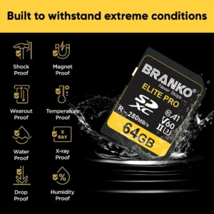 WhatsApp Image at PM ()